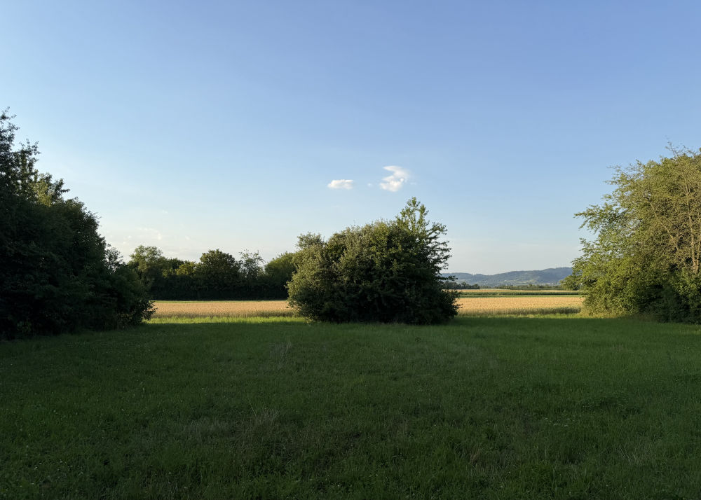 Sommerfest der SPD Ladenburg