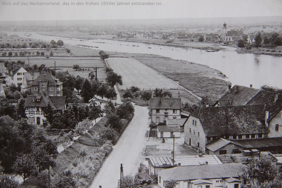Neckarwiese um 1900