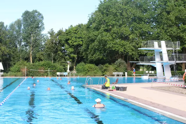 Freibad Ladenburg mit Sprungturm und Schwimmern im Wasser
