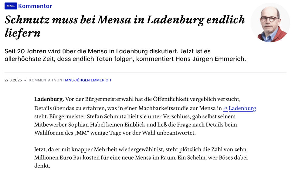 Screenshot einer Seite aus dem Mannheimer Morgen
