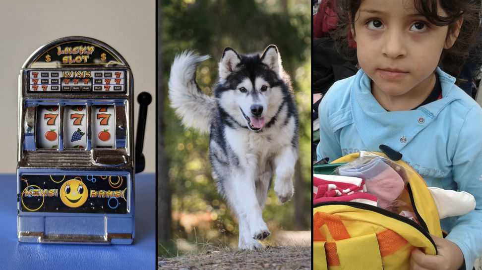 Fotomontage von einem Spielautomaten, einem Hund und einem Flüchtlingskind