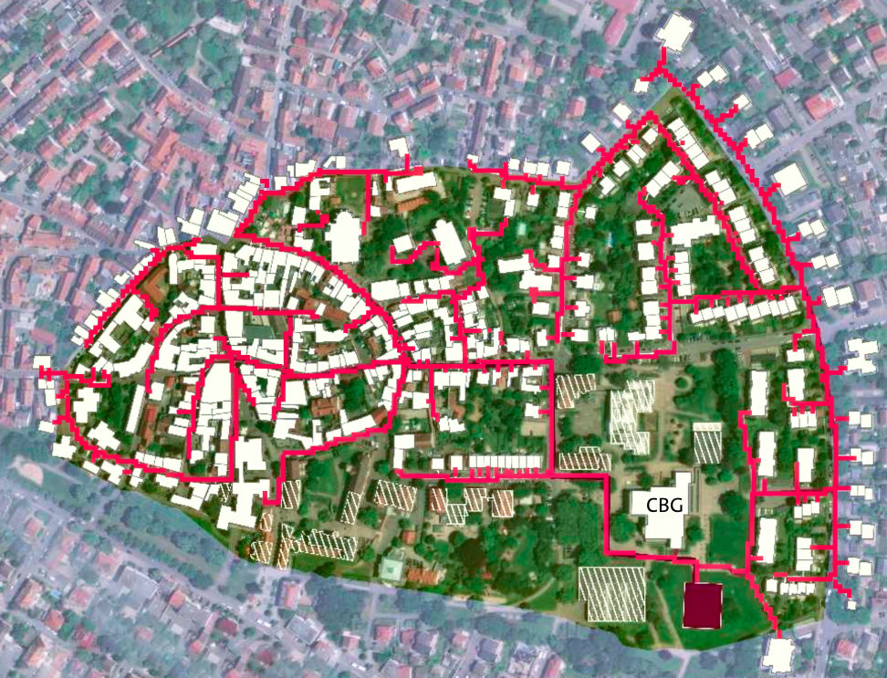 Vorgeschlagenes Nahwärmenezt in der Ladenburger Altstadt